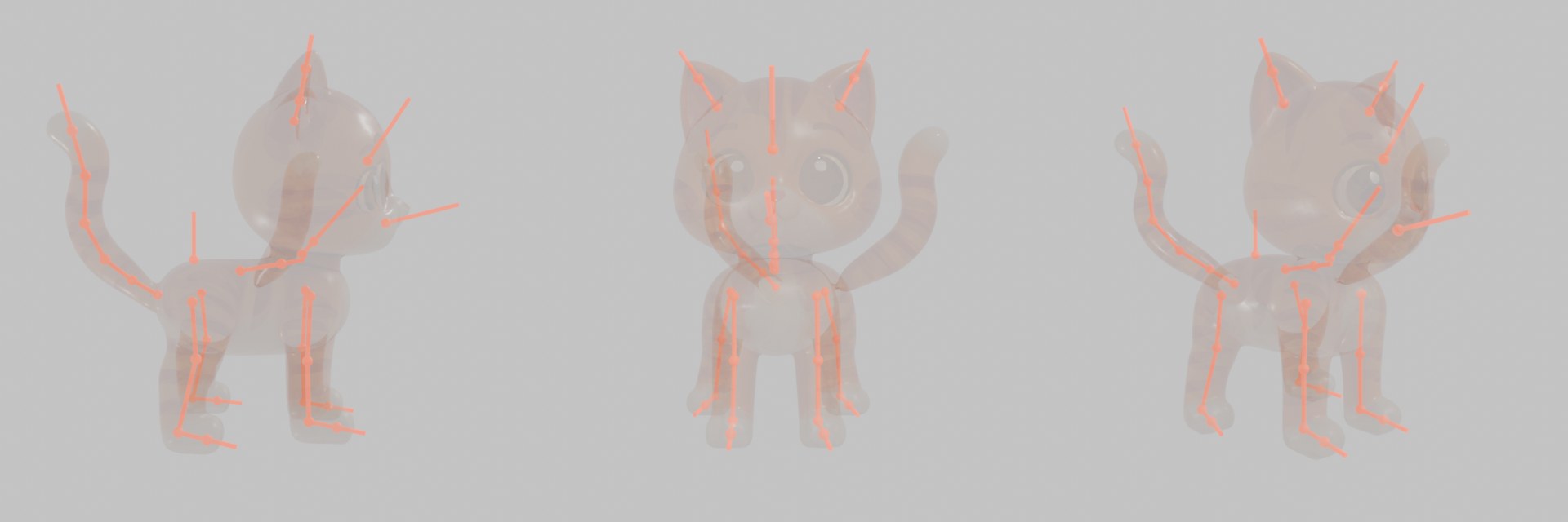 cat skeleton